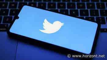 Kurznachrichtendienst: Twitter will Einzelverkauf von Artikeln unterstützen