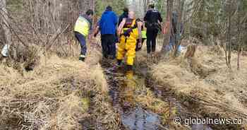Manitoba sexual assault suspect rescued from frozen lake by RCMP and arrested
