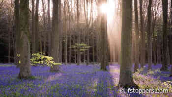 Can Less Camera Gear Help You Take Better Pictures?