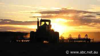 Higher insurance premiums for farmers as natural disasters, inflation bite