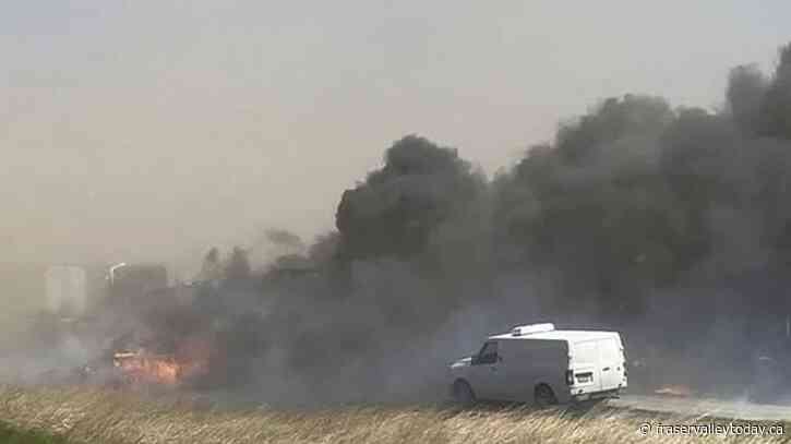 ‘Multiple fatalities’ on Illinois highway following crashes