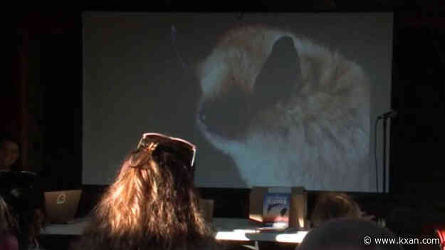 Austin bar builds bat homes with season underway