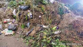 Council flags scrapping FOGO bin system, labels program unsatisfactory