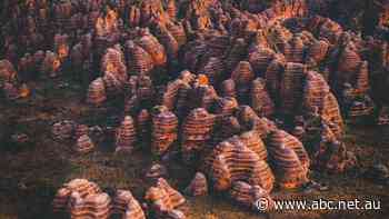 Twiggy's caravan park remains closed as talks with traditional owners continue