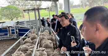 Lambassador delegation cooking up a storm