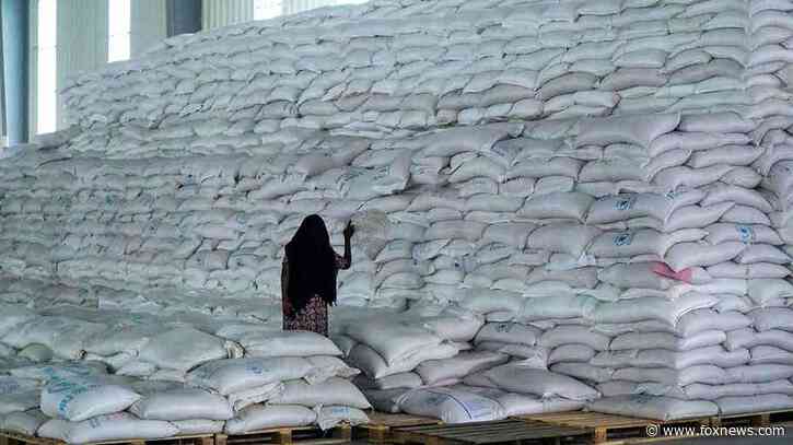 UN food relief agency suspends aid deliveries to Ethiopia's northern Tigray region