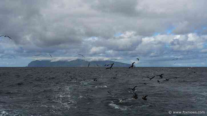 Worker sought for one of world's most isolated islands with low pay, 'long hours'