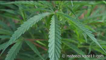 Legalizing marijuana could automatically seal 66K criminal records — but it won't be quick