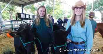 Out and about at the South Coast Beef School Steer Spectacular