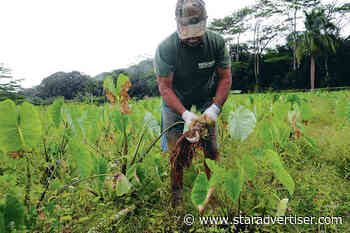 Waiahole farmers, state sign deal