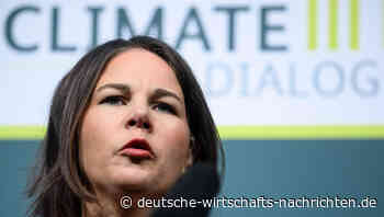 Baerbock strebt globale Ziele für Ausbau von Erneuerbaren Energien an