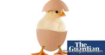 Did you solve it? Chicken or egg