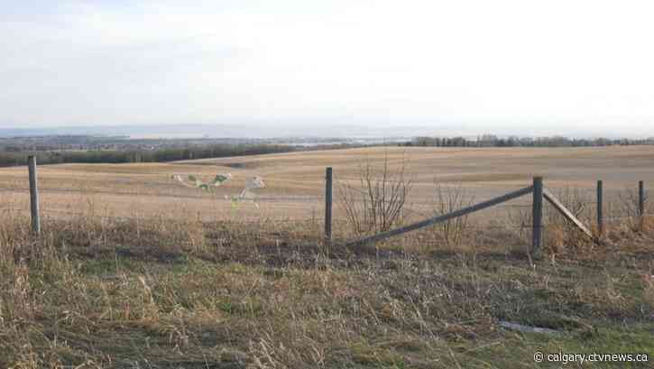 Rocky View County issues fire advisory over 'dry and windy' weather