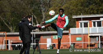 Salifou fällt aus - Quartett individuell