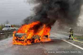 Zwei Autos brennen auf der A 44 bei Lichtenau
