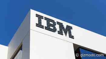 IBM Pauses Hiring to Onboard AI Instead