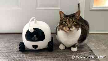 The best pet cameras of 2023