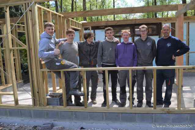 Leerlingen VTI Zandhoven maken echte alpacavilla voor Hugo en Boris in Monnikenheide