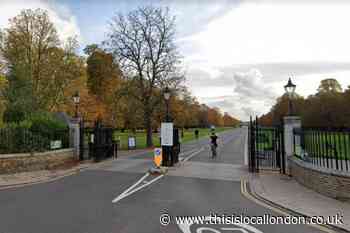 Richmond Bushy Park: Two dogs seized after attack