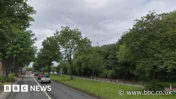 Passenger killed as car crashes into tree