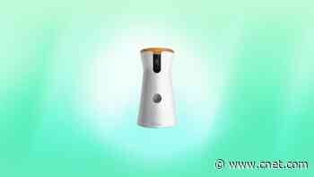 Save $63 on This Furbo Camera and Check In on Your Pet Any Time     - CNET