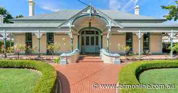 Mena - an Orange icon with class