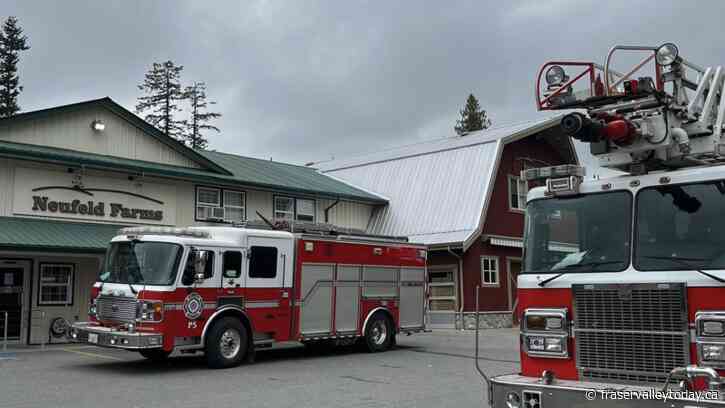 Neufeld Farm Market reopens after barn fire