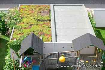 Gründach-Pflicht für neues Baugebiet in Bünde gekippt