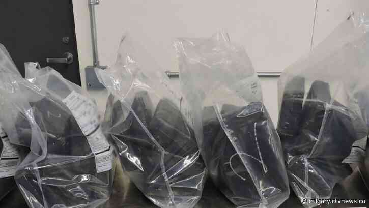 Cocaine intercepted: Calgary-bound drug shipment stopped at the border