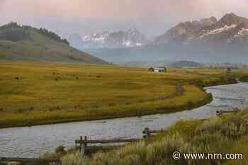 Taco Bell takes a big step toward a more sustainable beef supply