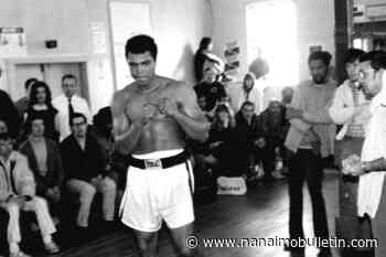 In Nelson, a punching bag once used by Muhammad Ali hangs in place of honour