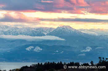 B.C. scientist eavesdropping on fish to fathom their underwater secrets