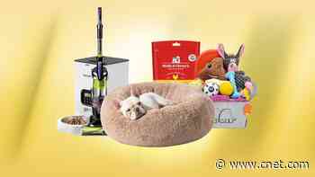 Spoil Your Furry Friend at Amazon's Massive Pet Day Sale     - CNET