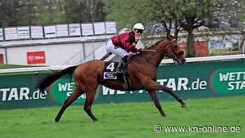 Mr. Hollywood ist der neue Favorit für das 154. Deutsche Derby