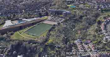 Police investigate mystery deaths of pets and wild animals in Bristol suburb