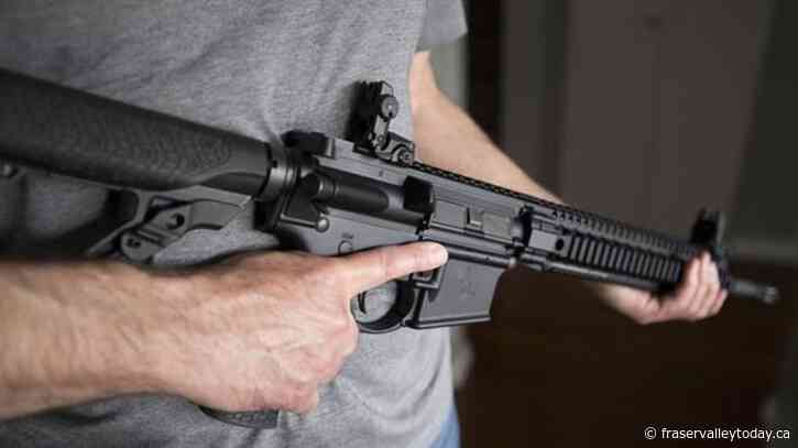 Federal gun bill proposals could make firearm system even more of a patchwork: expert