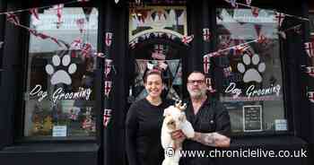 Inside the North Shields dog groomer decked out in flags and bunting for the King's Coronation