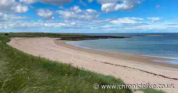 National walking trail which passes through Northumberland to be renamed after King Charles