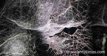 Can the Arts Be a Way Out? Or In?