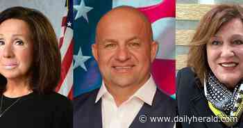 Three Des Plaines aldermen move to disregard term-limit vote but come up short