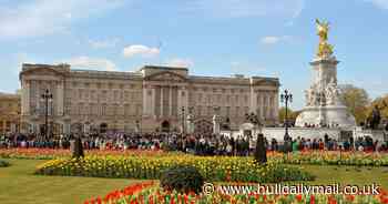 Man arrested and controlled explosion carried out at Buckingham Palace