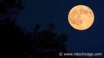 The Flower Moon to Rise This Week, and a Unique Event is Coming Later This Summer