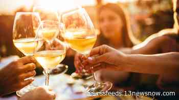 Spring Town Point Virginia Wine Festival returns to Norfolk's Town Point Park