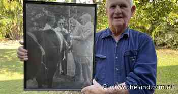Bonnie prince at last the king