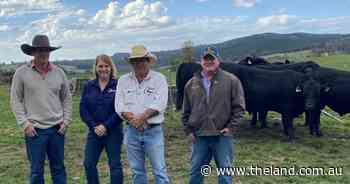 Crawford Angus hits $25,000, ave $10,000
