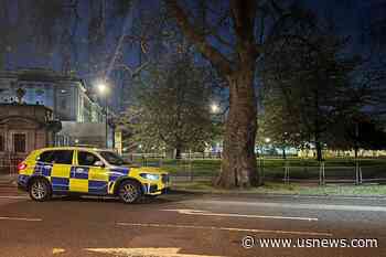 Man Arrested Outside Buckingham Palace With Suspected Weapon