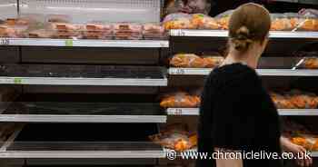 Supermarket shelves laid bare as UK chicken shortage hits 'breaking point'