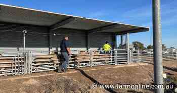 Sheep eID early adopters driving sales