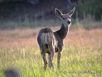 ICYMI: AI and ML Transform Ecommerce, Twitter Becomes X Corp., Social Media Marketing Changes