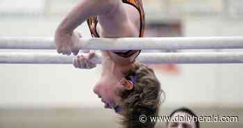 Boys gymnastics: Stevenson rolls to sectional crown